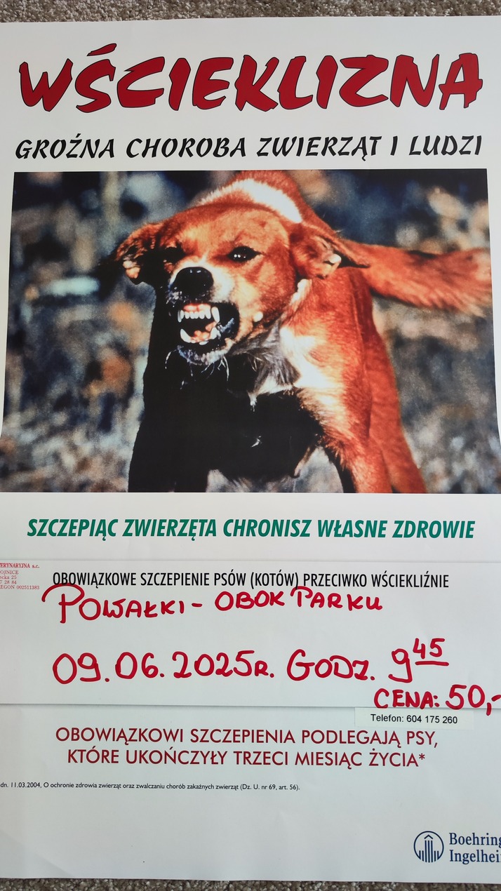 szczepienie2